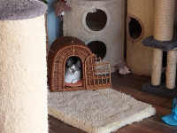 /album/258/whatsapp-image-2026-04-06-at-08-36-14-1-jpeg/